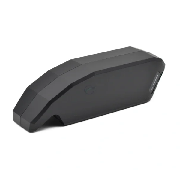 Batterie Bosch PowerPack 540 Performance Active par E-Bike Vision