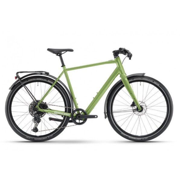 Vélo électrique Winora E-Flitzer