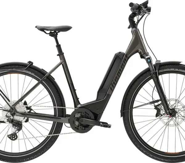 Vélo électrique DIAMANT 138 Wave 800Wh