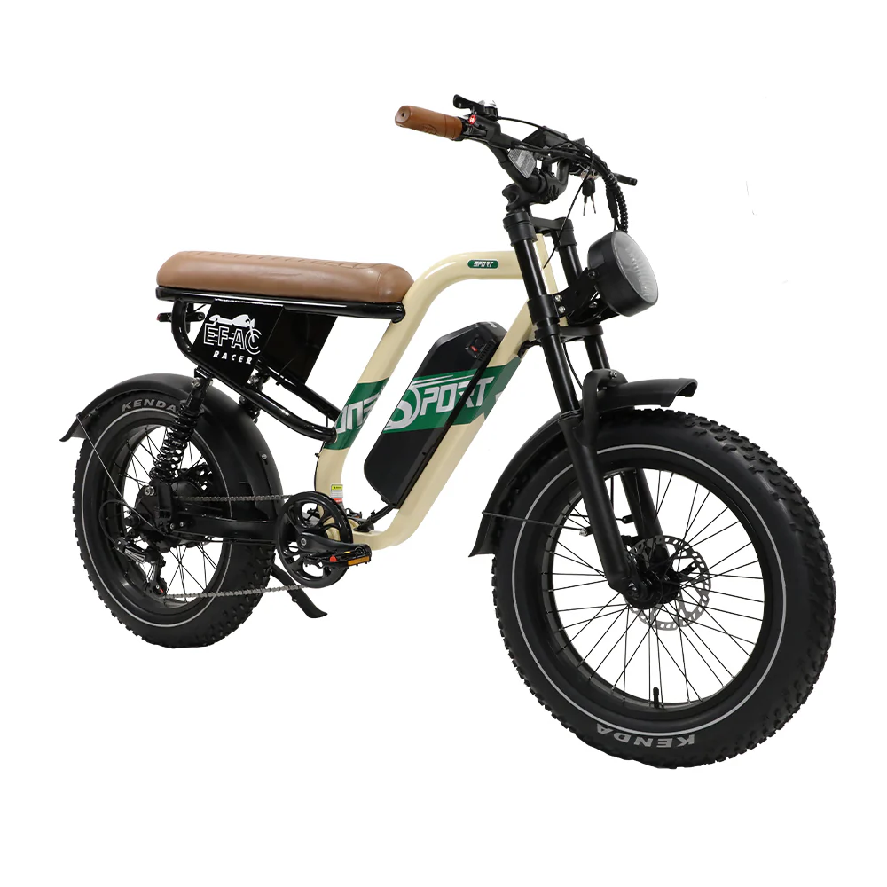 3_ba30e5f3-1356-4825-ac7d-37c81d13b933.webp VTT Électrique à Suspension Complète fafrees OneSport W66 500W 20" Fat Bike 648Wh – Image 1