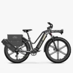 Fiido Titan Fat Tire Touring Vélo électrique – Image 3