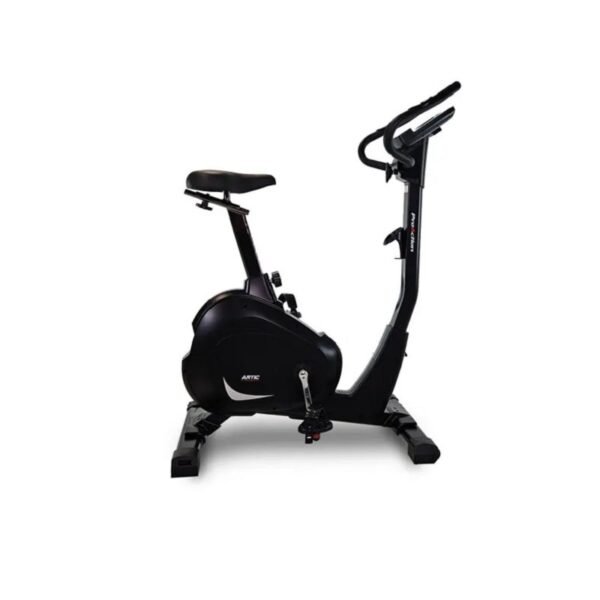 Vélo d'appartement BH Artic Dual