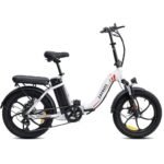 Vélo électrique Pliant Fafrees F20 250W 20" Vélo de Ville 16Ah Batterie – Image 15