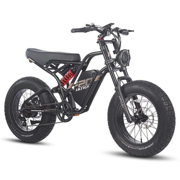 FAFREES F20 ULTRA 750W 20" Fat Bike E-Mountain Bike 48V 25Ah LG Batterie E-MTB