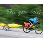 Charette pour velo Y-Frame Large 2.2 – Image 4